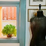 Chania Cozy Studios