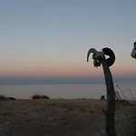 Mirtopolis