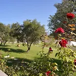 Alexandra'S Garden Houses