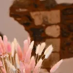 Maria'S House - Chamezi