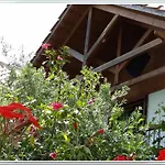 Stunning 2-Bedrooms Private Cottage In Palaiochora