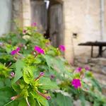 The Lookout In Mirsini - Roof Terrace - Ac - Wifi