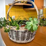 Marele Apartment City Center By Cretan Houses