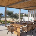 Tersanas Mare Green