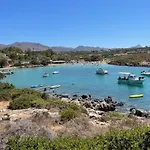 Tersanas Mare Green
