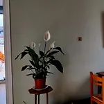 Doukas Rooms Herakleio Crete