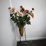 Marilidiahouse