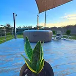 Sun-Sevieria 5 ' From The Beach.