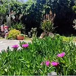 Creta Irini'S Rooms3