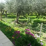 Villa Lia