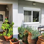 Central Apartment
