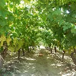 Cretan Vineyard Hill Villa