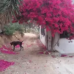 Sitia Vrisidi Ranch