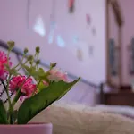 Eva'S House