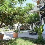 Modern Apartment With Garden